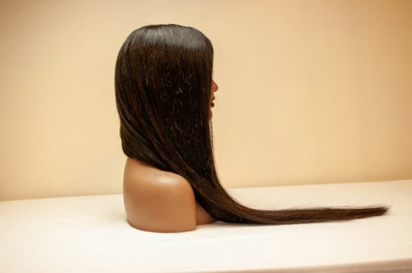 Daily Elegance Synthetic Wig